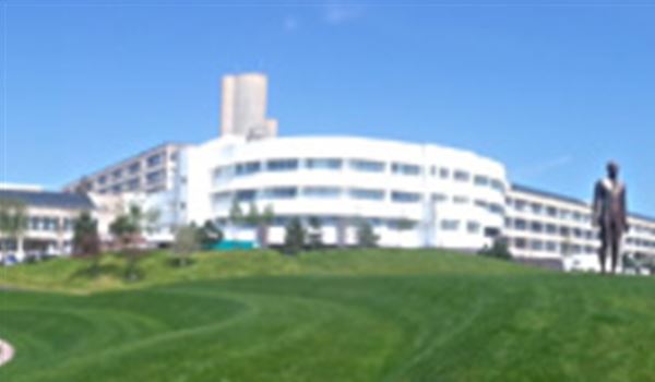 Ninewells
